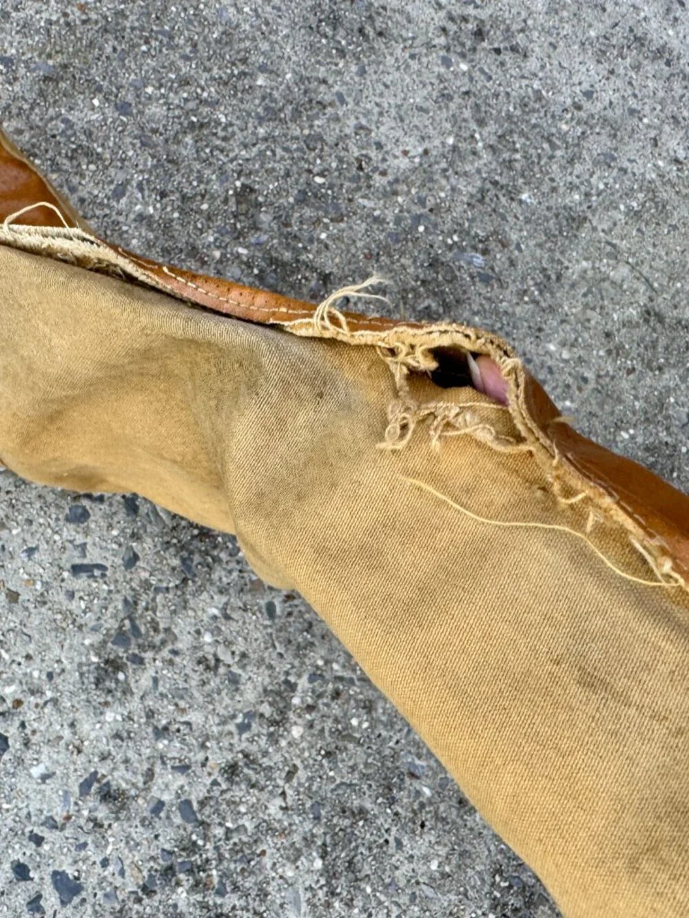 VTG 60s Drybak Hunting Pants Brown Thrashed Heavy Canvas Briar Brush Guard Sz 30